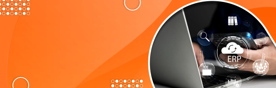 The Role of ERP for Packaging Industry in the Smart Factory